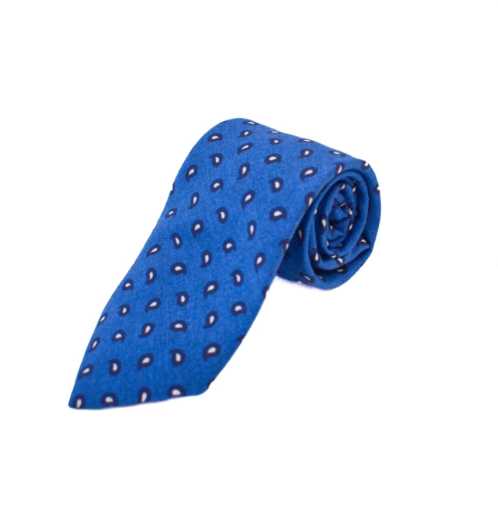 Liam John Blue Mini Paisley Tie